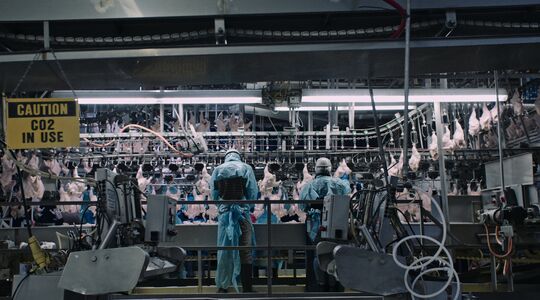 netflix documentaire woeste kijkers