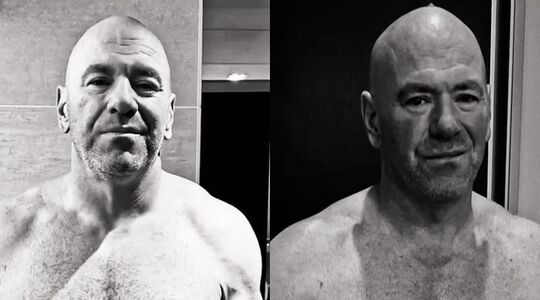dana white watervasten 86 uur