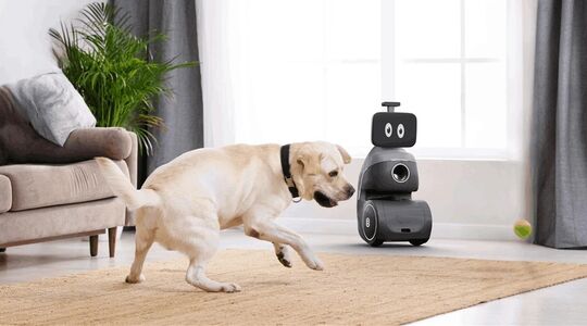 ORo gadget hond