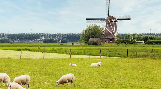 gelukkigste mensen van nederland in enschede