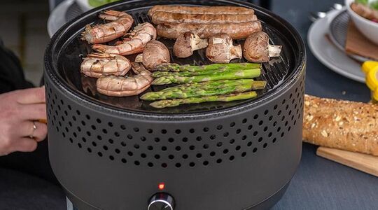 draagbare bbq grill action te koop