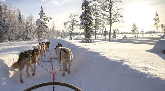 Zweeds Lapland avontuur