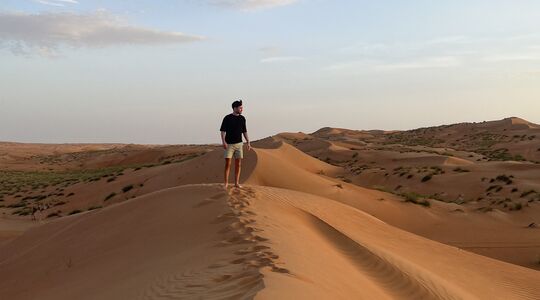 reis door oman