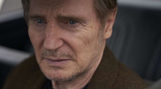 nieuwe film liam neeson netflix in the land of saints and sinners
