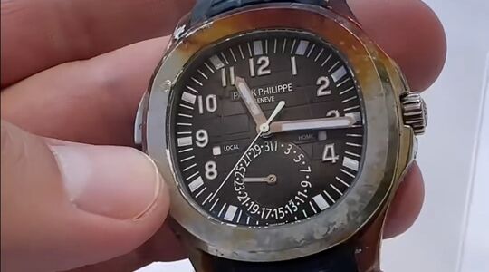duiker vindt patek philippe horloge