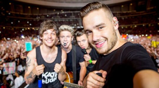 harry styles vermogen