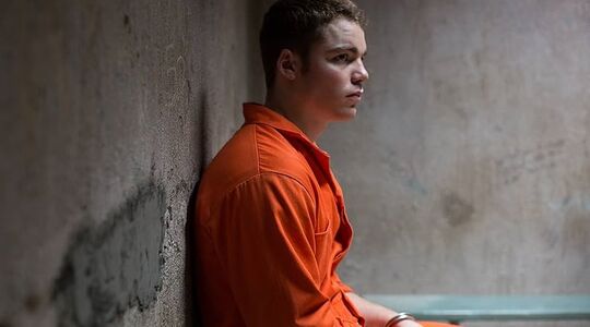 the whole truth netflix film