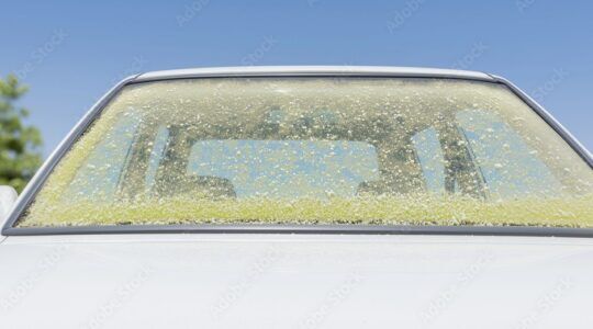 Een auto met een voorruit die onder de pollen zit