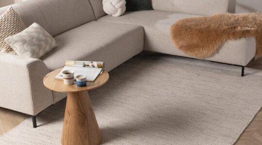Een beige vloerkleed in het interieur van een woonkamer