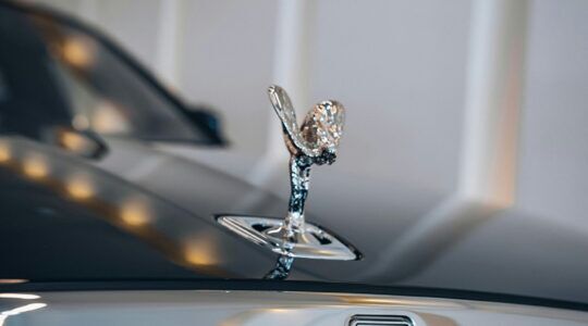 Ornament op motorkap