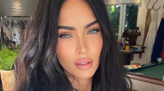Het gezicht van Megan Fox