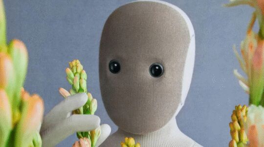 De nieuwe NEO-robot pakt voorzichtig een plant vast