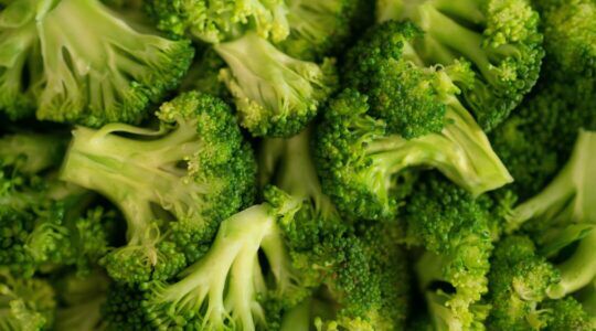 Allemaal broccoli's
