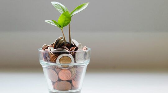 Een potje met geld dat de groei van de economie van Nederland symboliseert.