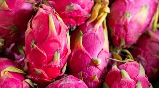 Allemaal drakenfruit.