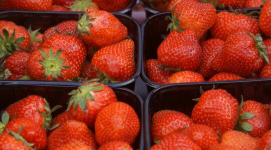 Bakjes gevuld met aardbeien.