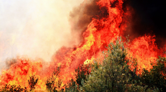 Een bosbrand met hoge vlammen en rook.