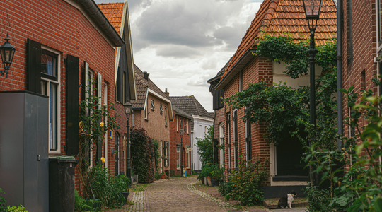 Een straat met huizen en planten.