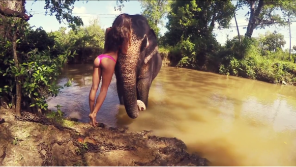 Video: Droomreis door Sri Lanka