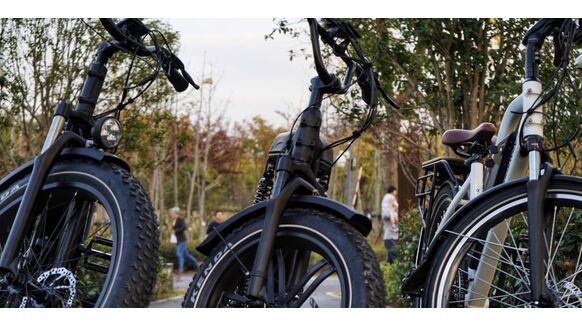 Onze nationale trots: 10 Nederlandse e-bike merken