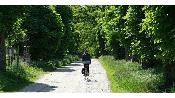 Fietsroute van het jaar 2024: dit is de winnaar!