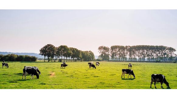 De 5 Nederlandse dorpen met de minste inwoners