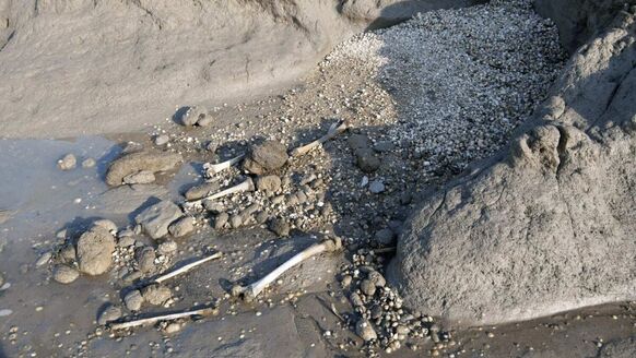 Menselijke resten en eeuwenoude houten kisten: het afschuwelijke verhaal van Deadman’s Island