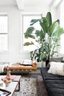 wooninspiratie-bank-plant-manman