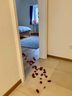 hilarische grap vrouw valentijn
