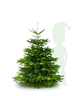 kerstboom bestellen
