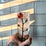 The Cocktail Guy MAN MAN