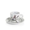 illy kopje collectie
