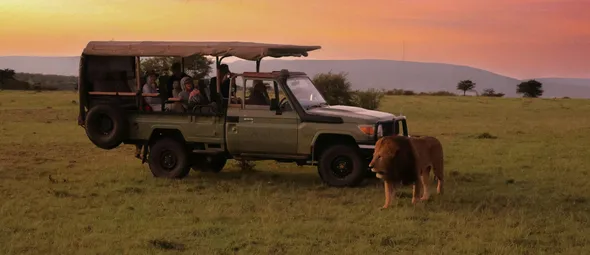 In deze lodge in Zuid-Afrika slaap je tussen de leeuwen